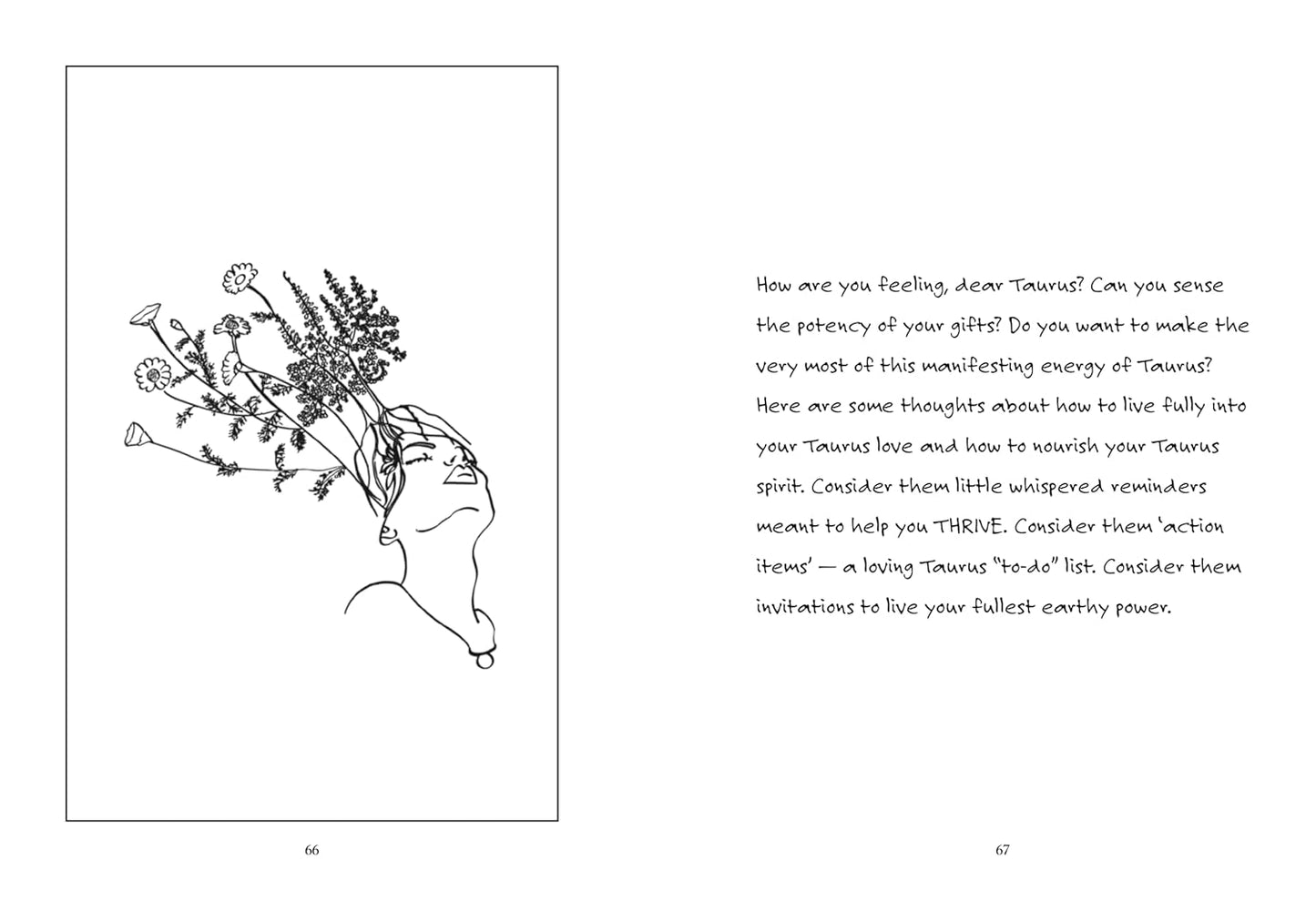 Taurus: A Love Letter